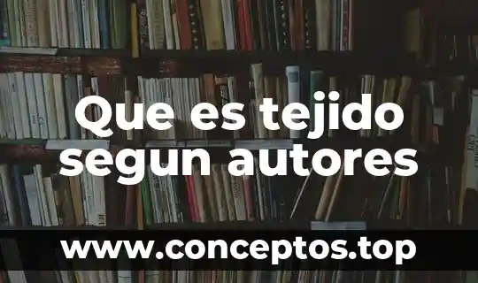 Qué es la genealogía según Foucault 4 Que es tejido segun autores