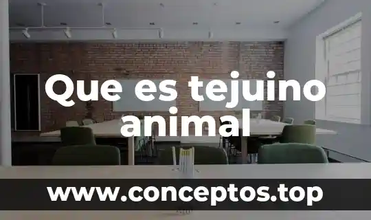 Que es tejuino animal
