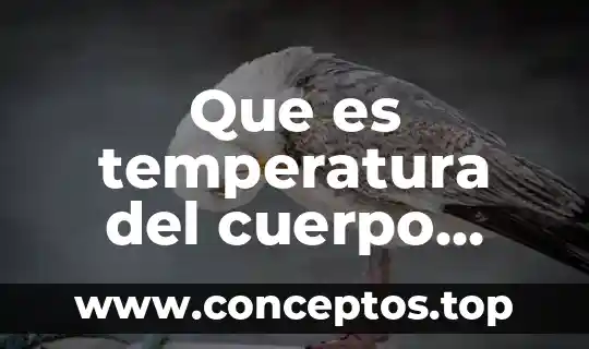 Que es temperatura del cuerpo humano