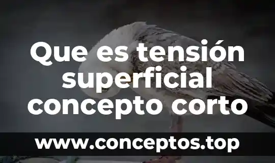 Que es tensión superficial concepto corto