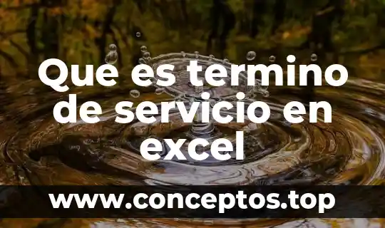 Que es termino de servicio en excel