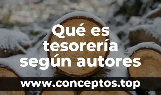 Qué es tesorería según autores