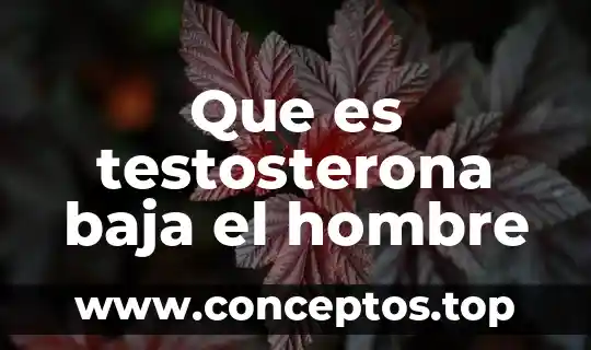 Que es reduccion deo ciclo del trabajo 6 Que es testosterona baja el hombre