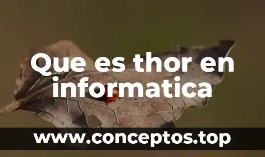 Que significa o que es un multiprogramacion en informatica 5 Que es thor en informatica