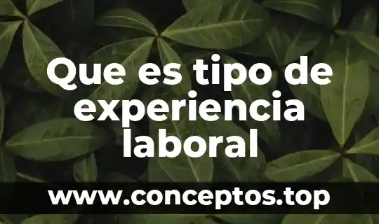 Que es tipo de experiencia laboral