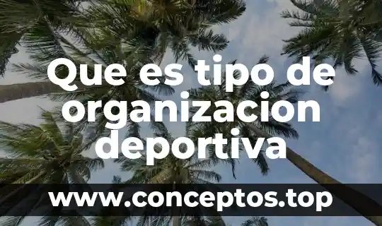 Que es tipo de organizacion deportiva