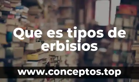 Que es tipos de erbisios