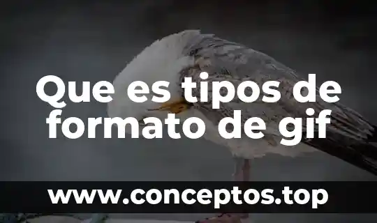 Que es tipos de formato de gif
