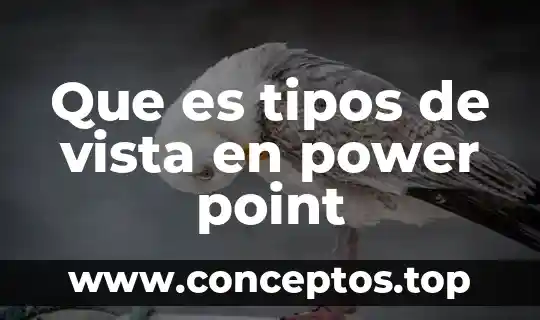 Que es tipos de vista en power point