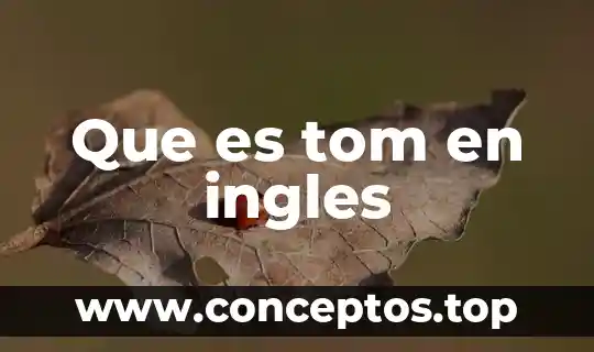 Que es signo de interrogación en ingles 7 Que es tom en ingles