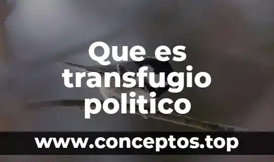 Que es transfugio politico