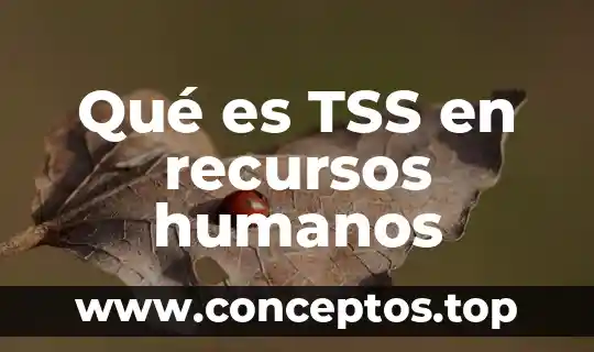 Qué es TSS en recursos humanos