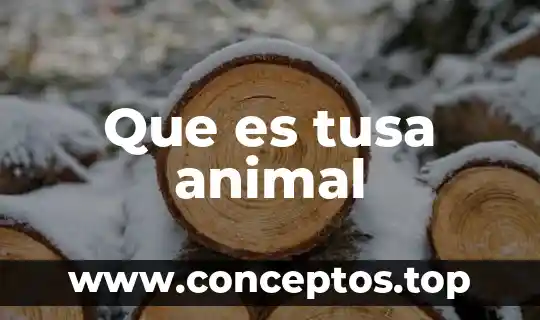 Que es la celula animal y sus partes 8 Que es tusa animal