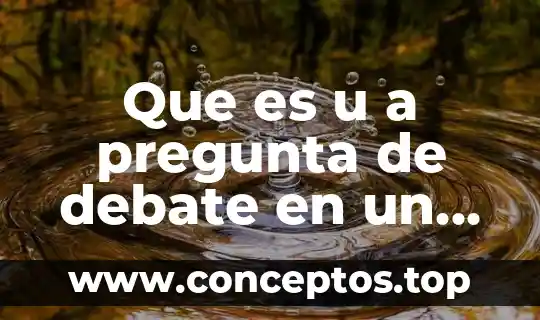 Que es u a pregunta de debate en un ensayo