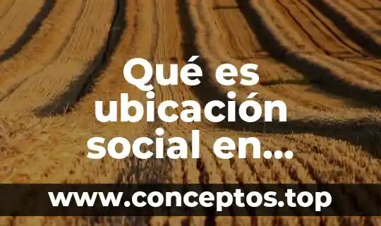 Qué es ubicación social en investigación