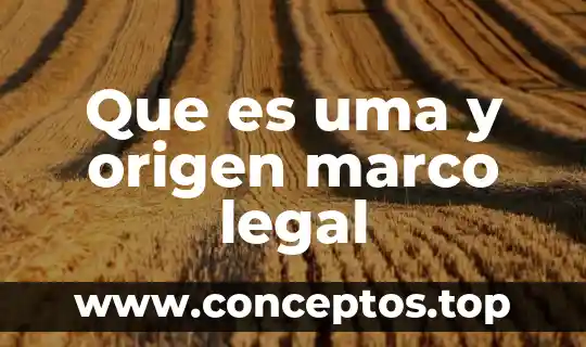 Que es t1 en una organización 7 Que es uma y origen marco legal