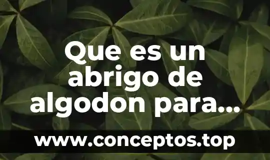 Que es un abrigo de algodon para hombre