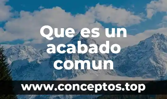 Buscar qué es el máximo común múltiplo de un número 3 Que es un acabado comun