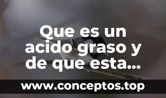 Qué está formado el sistema digestivo 3 Que es un acido graso y de que esta formado