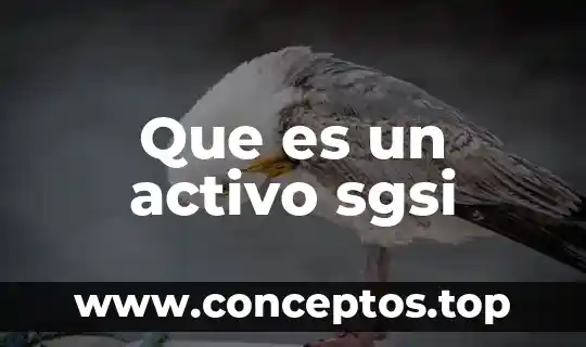 Que es un activo sgsi
