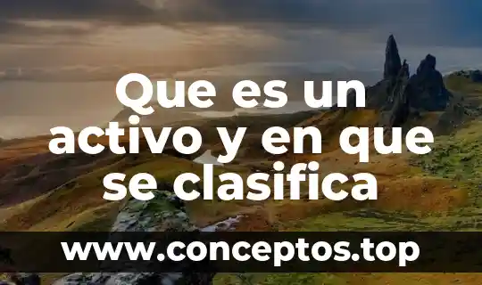 Que es un activo y en que se clasifica