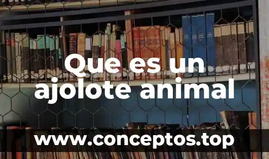 Que es un ajolote animal