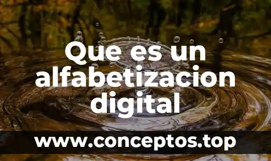 Que es un alfabetizacion digital