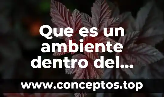Que es un ambiente dentro del cuento
