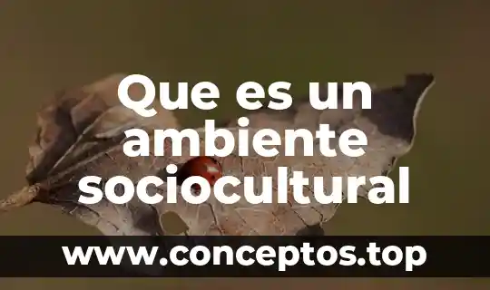 Que es un ambiente sociocultural