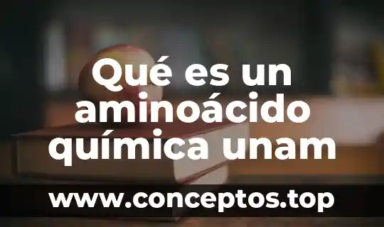 Qué es un aminoácido química unam