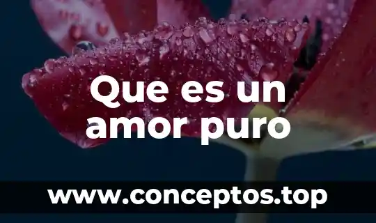 Que es un amor puro