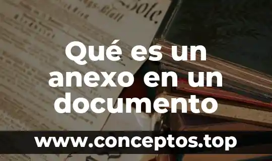 Qué es un anexo en un documento
