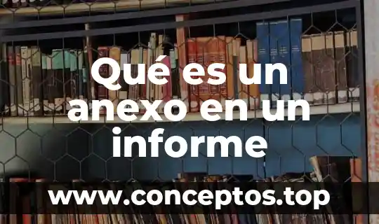 Qué es un anexo en un informe