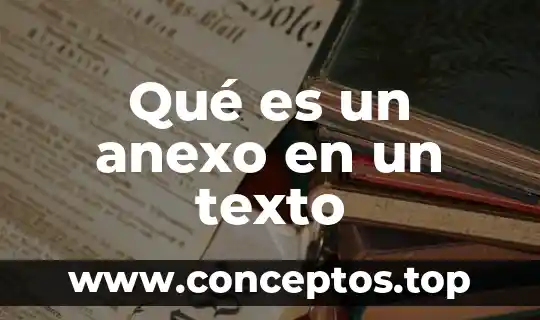 Qué es un anexo en un texto