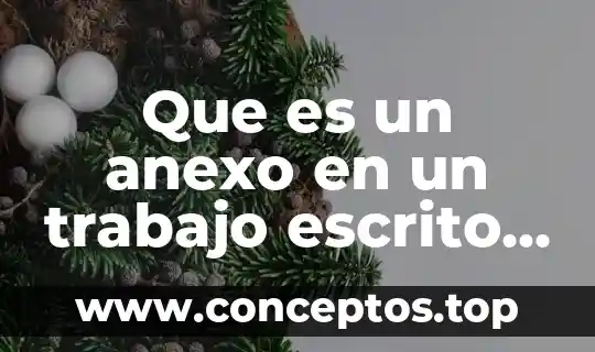 Que es un anexo en un trabajo escrito ejemplo