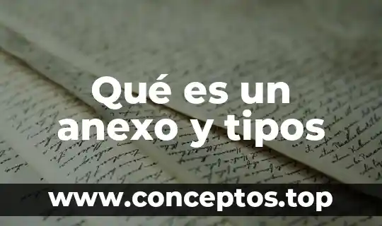 Qué es un anexo y tipos