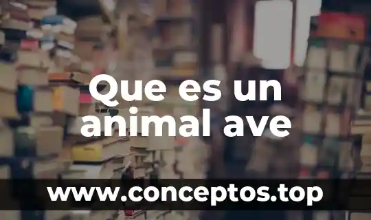 Que es el animal en dibujo de elefantes 4 Que es un animal ave