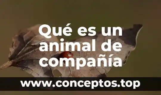 Qué es un animal de compañía
