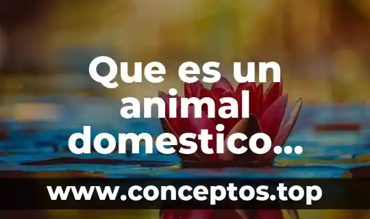Que es un animal domestico para niños