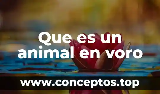 Que es un animal en voro