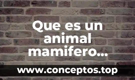 Que es un animal mamifero kinder ejemplos