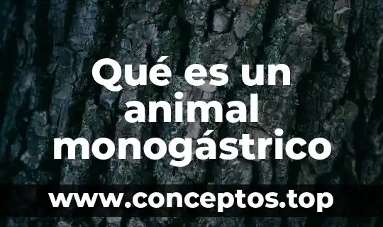 Qué es un animal monogástrico