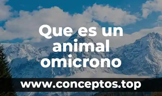 Que es una celule animal 7 Que es un animal omicrono