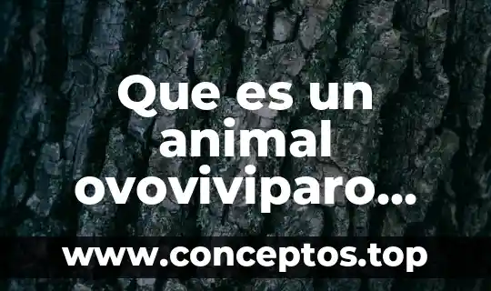 Que es la celula animal y sus partes 5 Que es un animal ovoviviparo ejemplos y carcteristicas
