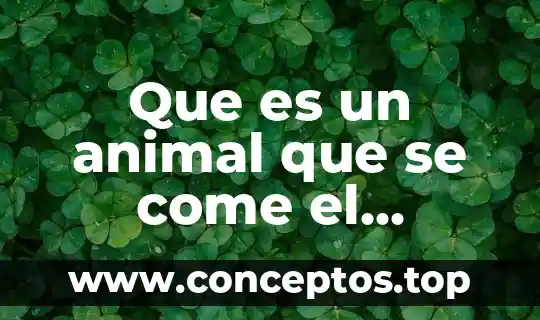 Que es un animal que se come el concreto