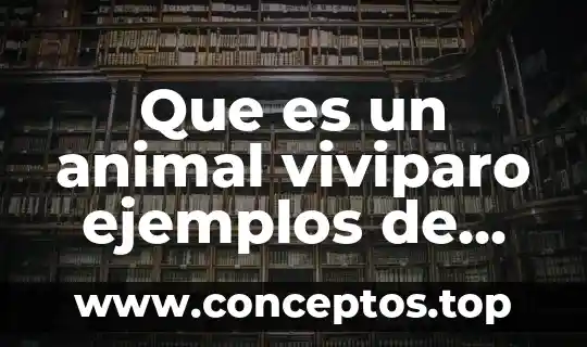 Que es un animal viviparo ejemplos de mascotas