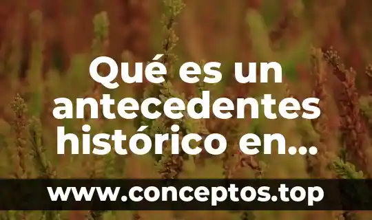 Qué es un antecedentes histórico en una manual de organización