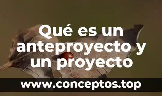 Que es nombre del proyecto 4 Qué es un anteproyecto y un proyecto