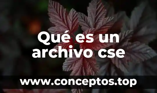 Qué es un archivo cse
