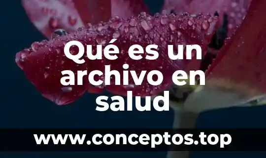 Qué es un archivo en salud